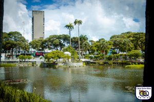 Aula em campo ao Museu Bode ioiô 2023